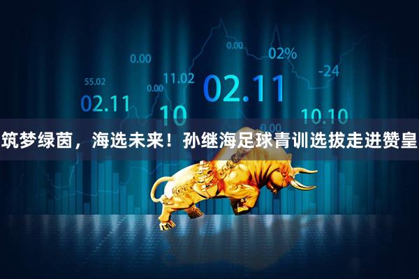 筑梦绿茵，海选未来！孙继海足球青训选拔走进赞皇