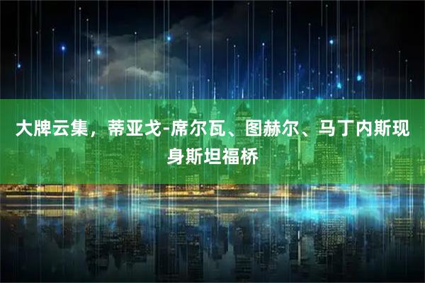 大牌云集，蒂亚戈-席尔瓦、图赫尔、马丁内斯现身斯坦福桥
