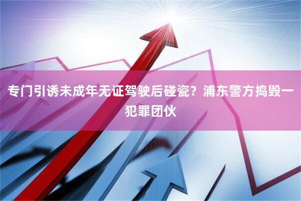 专门引诱未成年无证驾驶后碰瓷？浦东警方捣毁一犯罪团伙