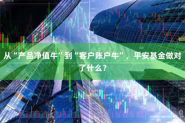 从“产品净值牛”到“客户账户牛”，平安基金做对了什么？